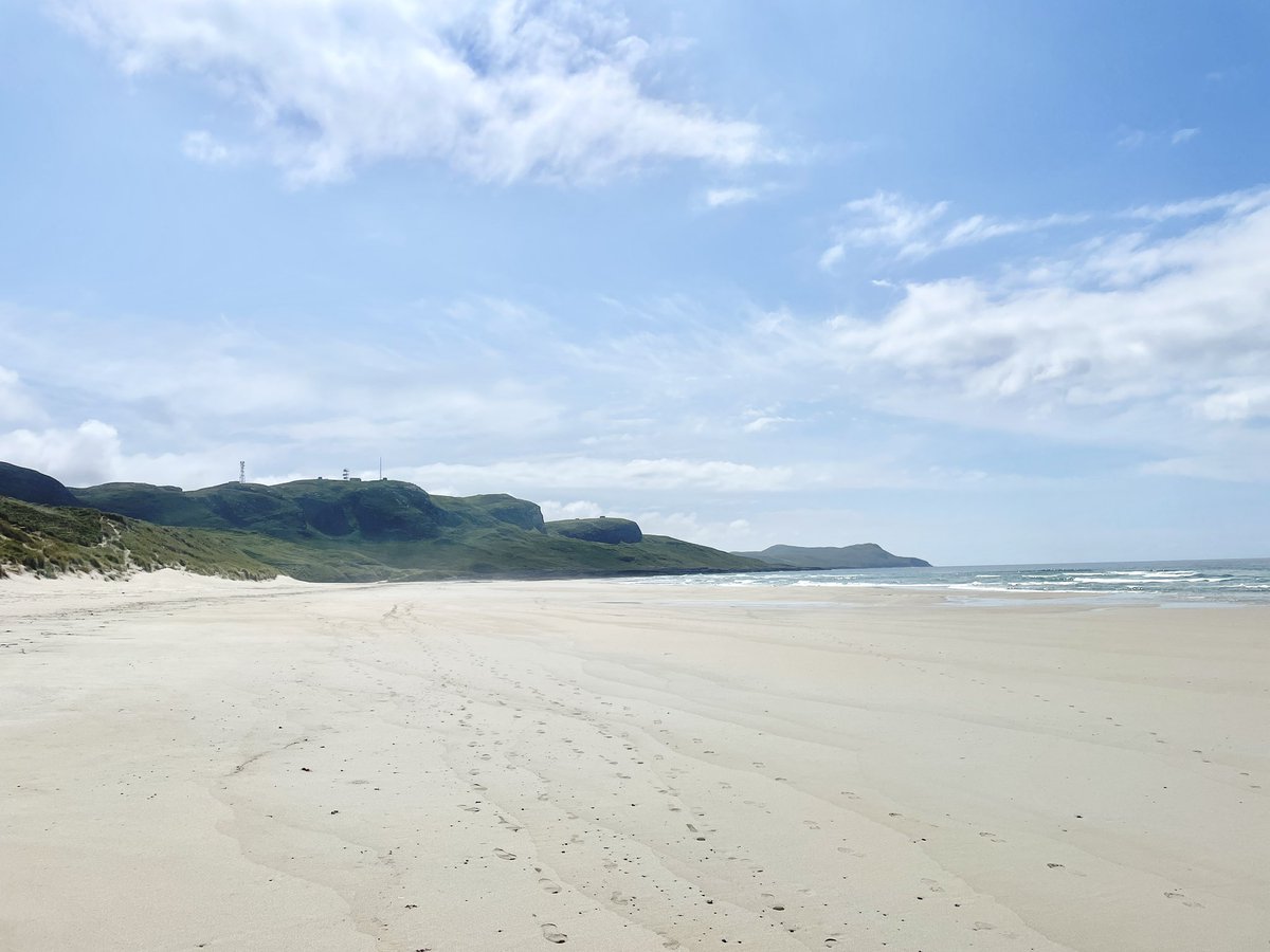 Winna Ding tweet media