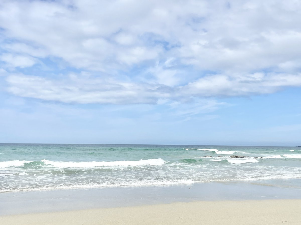 Winna Ding tweet media