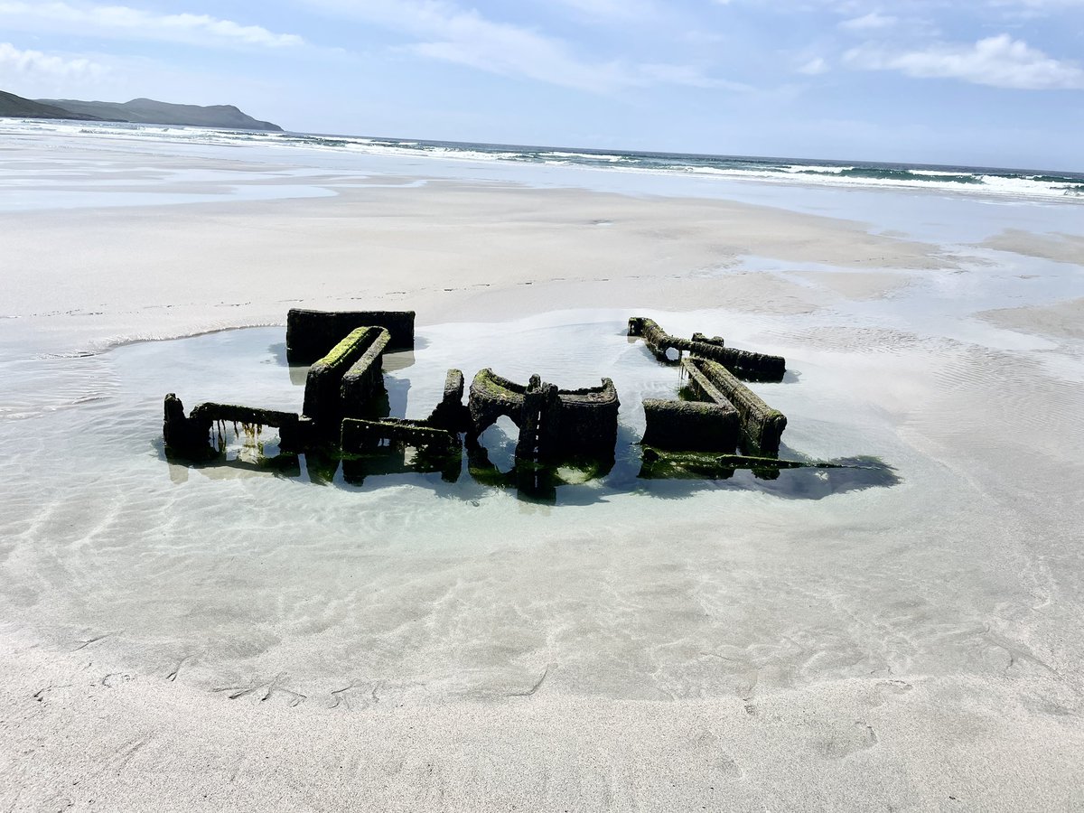 Winna Ding tweet media