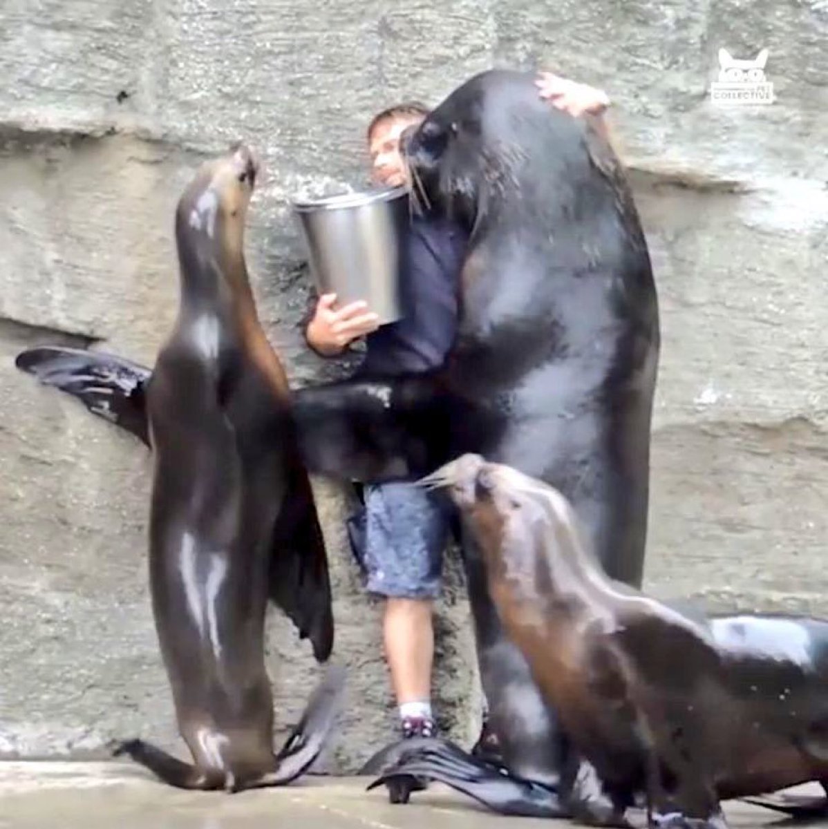 "Just give us the fucking fish, Dave, I don't want to hurt you"