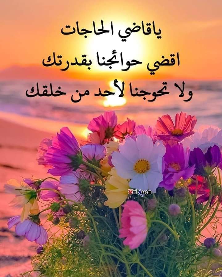 ياااااا رب 🤲🤲 
اللهم استجب دعائنا واقضي حوائجنا واجبر كسر قلوبنا وخواطرنا.. يا رب 🤲 
اللهم آمييييين يااا رب العالمين 🤲