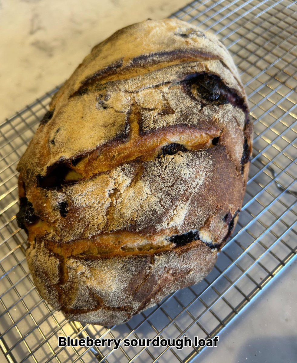 JimmyBarnes's tweet image. Breakfast in bed, yes I’m spoilt. Thank God for laps or I’d be the size of a house. Blueberry sourdough loaf to have with cauliflowers from the garden. Be warm everyone.
@jane13barnes