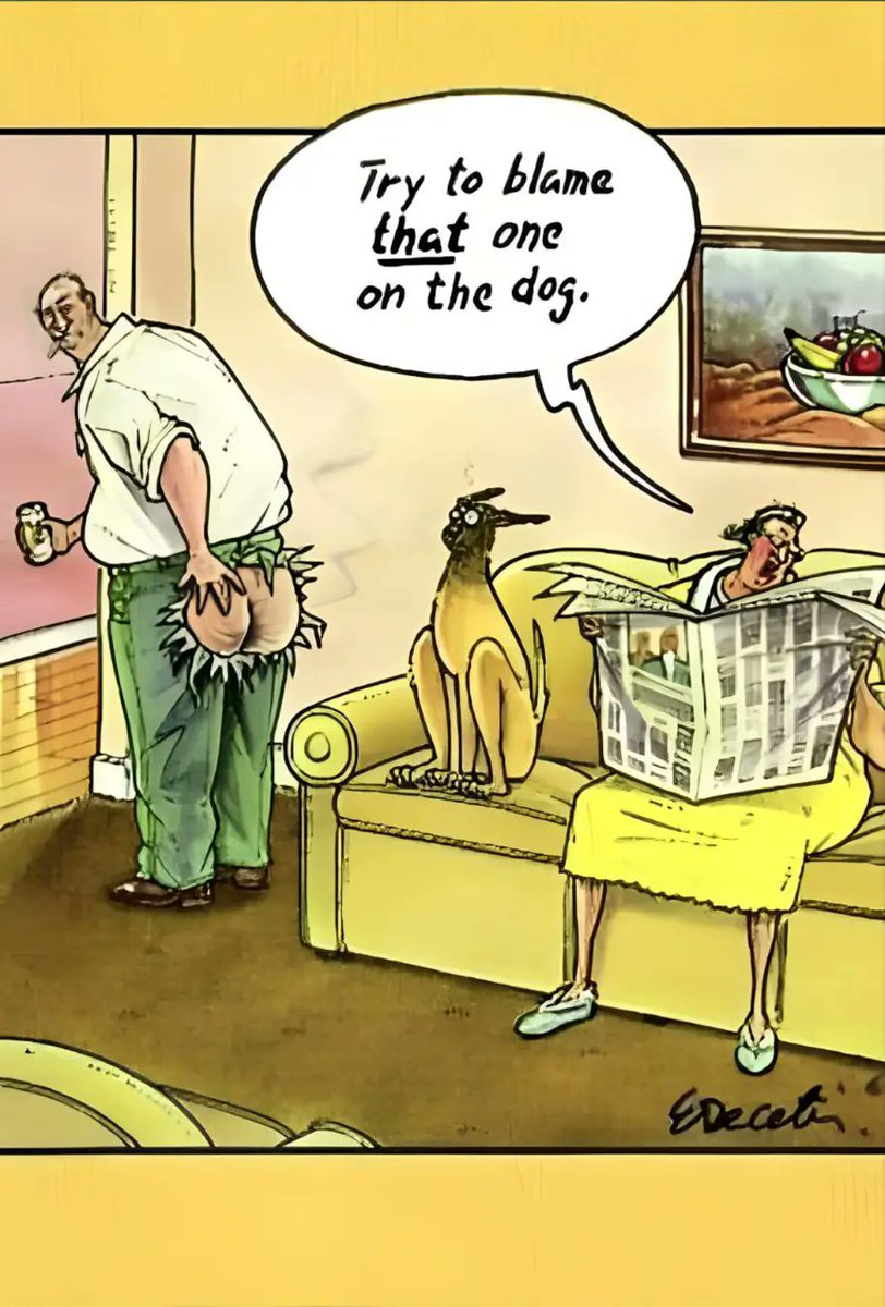 Kathy1Jenkins's tweet image. Good morning friends! Happy Friday Eve!! Make it a great day and as always ~ be safe!