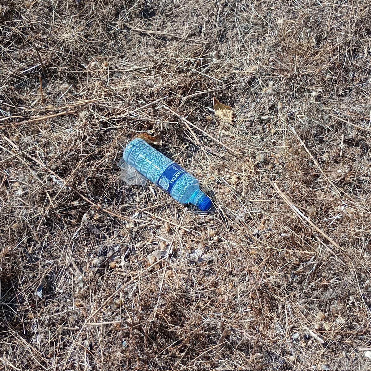 Lachurri's tweet image. Con la basura de los parques, puedes hacer dos cosas: 
1. Cabrearte muy fuerte 🤬
2. Reutilizarla para convertirla en bebederos para pájaros 🐦 que en verano lo tienen muy complicado para beber agua.
Y recuerda, los restos a la basura ♻️