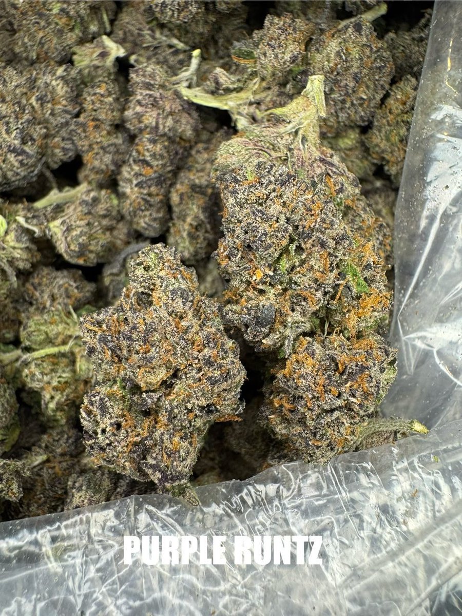 gurukutz's tweet photo. For all my 420 flower lovers in the 804,757,DMV, Tri city va Vsu,Vuu who love to share, donate and smoke!! https://t.co/SZRPa5SkTE https://t.co/g4deZUtsh9