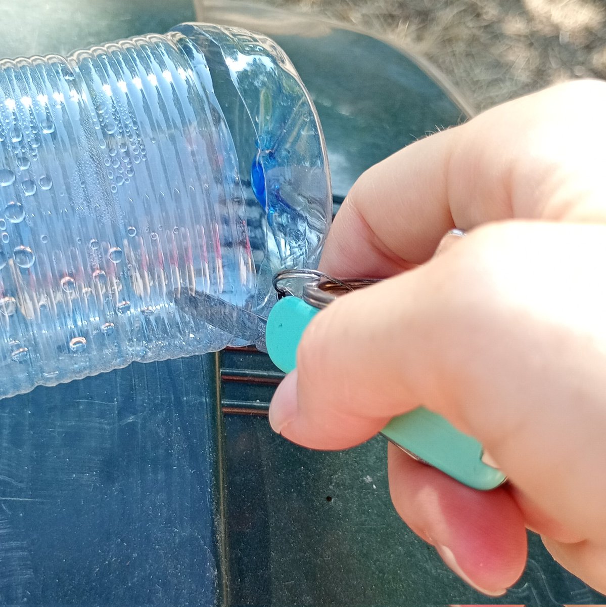 Lachurri's tweet image. Con la basura de los parques, puedes hacer dos cosas: 
1. Cabrearte muy fuerte 🤬
2. Reutilizarla para convertirla en bebederos para pájaros 🐦 que en verano lo tienen muy complicado para beber agua.
Y recuerda, los restos a la basura ♻️