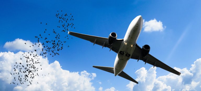 Le député du Val-de-Marne Sylvain Berrios propose une loi pour allonger le couvre-feu de l'aéroport d'Orly et limiter le nombre de vols 94.citoyens.com/2025/le-depute…