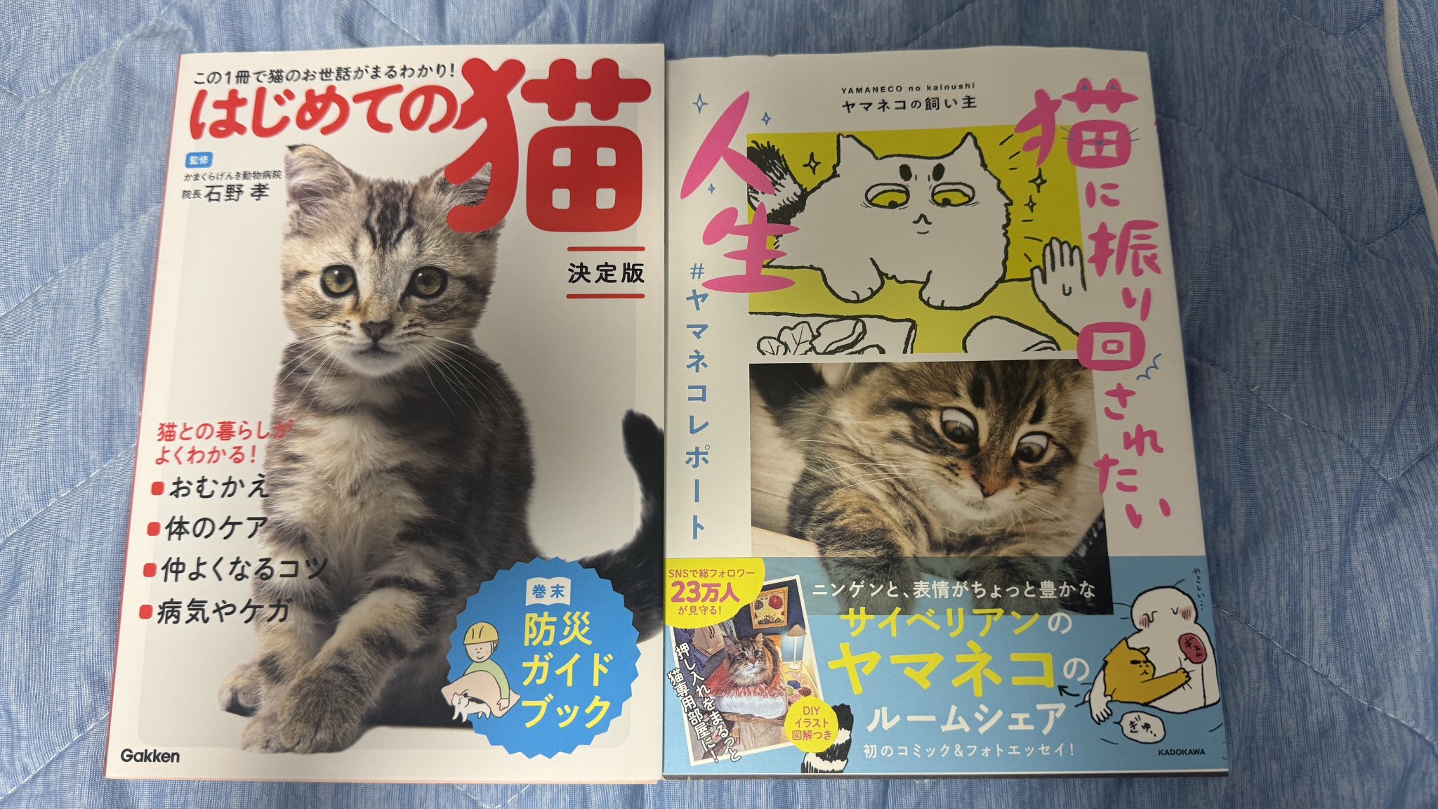 猫　絵本　まとめ売り　７冊セット　希少品　絶版本含む 猫 絵本 まとめ売り 7冊セット 希少品 絶版本含む