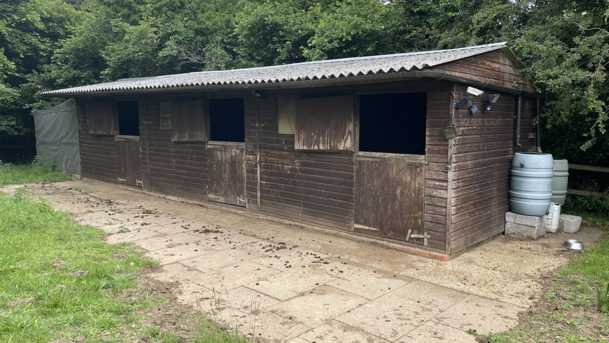 Weldon Beesly tweet media