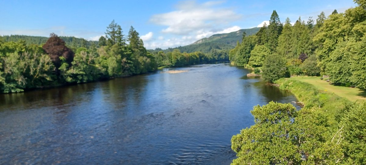 Ron Granger tweet media