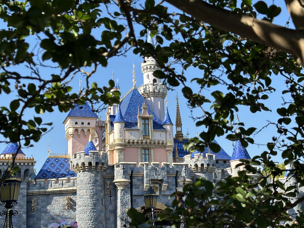 Josh 🍁 tweet media