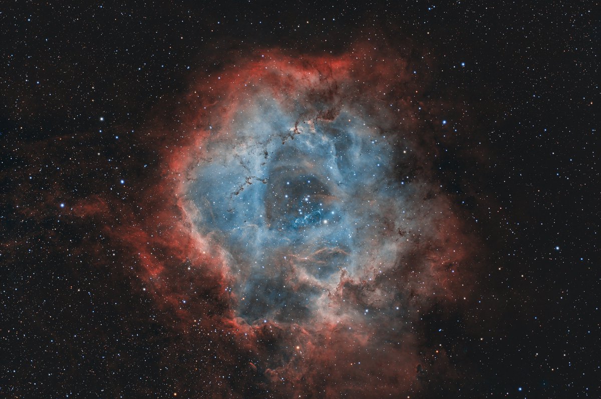 Teleskop-Service Ransburg GmbH tweet media