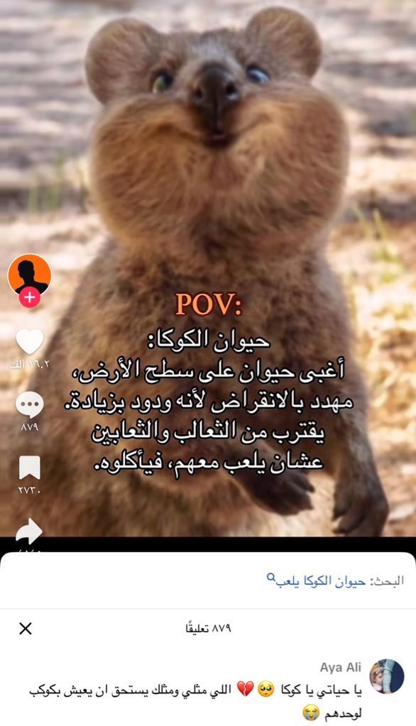 A8nsr's tweet image. 