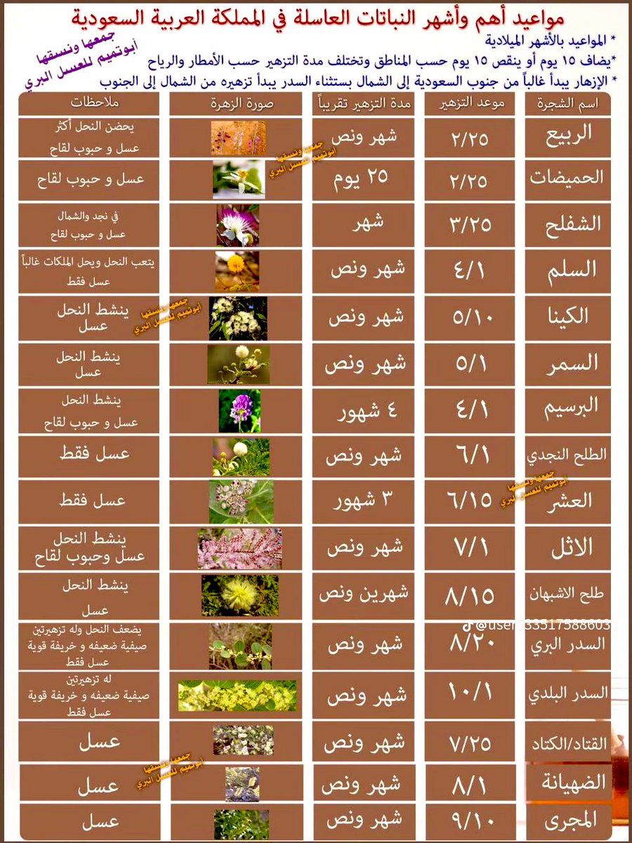 معلومات قيّمة جداً 🍯 

مـواعيـد أهـم وأشـهر النباتات والأشجـار العاسـلة في 
                    💚 المملكة العربية السعودية 💚

فضلها لديك أو احفظها أو صور الشاشة لترجع لها عند الحاجة  .. جمعها ابوتميم للعسل البري