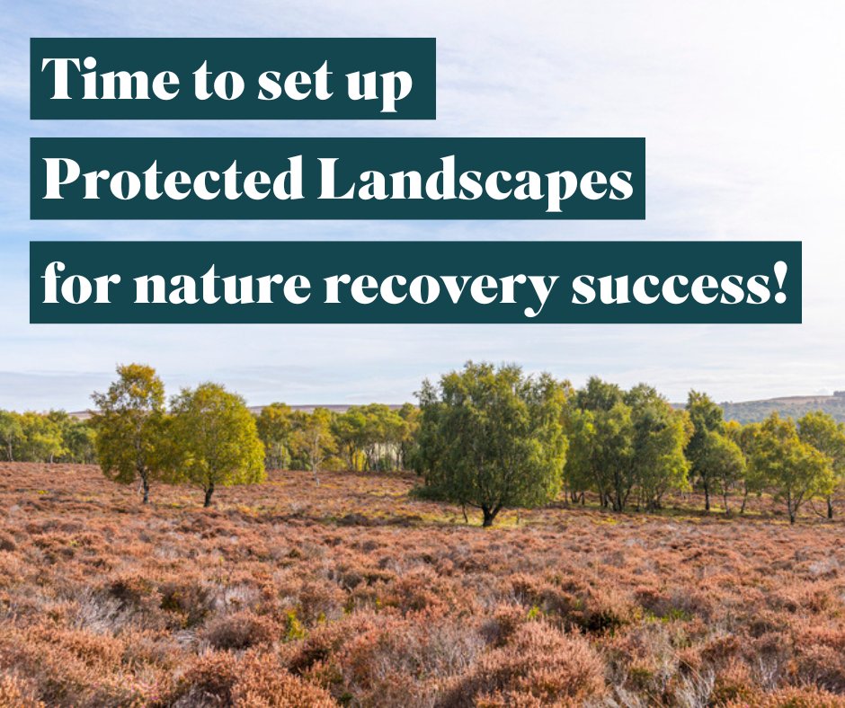 RSPB Action (@rspbaction) on Twitter photo We need action now!
Environmental groups RSPB, <a href="/Campaign4Parks/">Campaign for National Parks</a>, <a href="/nationaltrust/">National Trust</a>, <a href="/WildlifeTrusts/">The Wildlife Trusts</a>, <a href="/uknationalparks/">National Parks UK</a>, <a href="/WCL_News/">Wildlife and Countryside Link</a> and the Woodland Trust have issued a joint response to this week’s first Government progress report on nature in England’s Protected Landscapes 👇 We need action now!
Environmental groups RSPB, <a href="/Campaign4Parks/">Campaign for National Parks</a>, <a href="/nationaltrust/">National Trust</a>, <a href="/WildlifeTrusts/">The Wildlife Trusts</a>, <a href="/uknationalparks/">National Parks UK</a>, <a href="/WCL_News/">Wildlife and Countryside Link</a> and the Woodland Trust have issued a joint response to this week’s first Government progress report on nature in England’s Protected Landscapes 👇