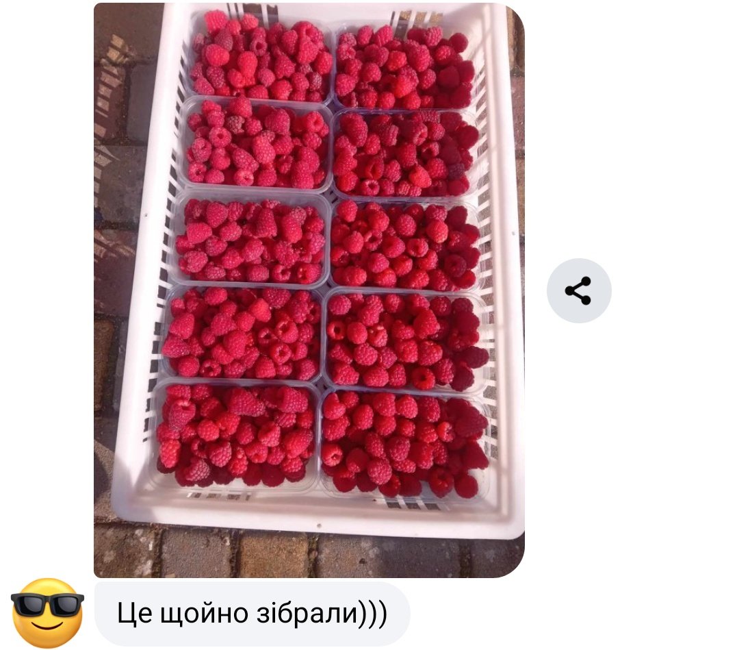 Tym_Mary's tweet image. Малинова мармуляда в цьому році буде 🥹
Яка ж вона красива, ягідка до ягідки