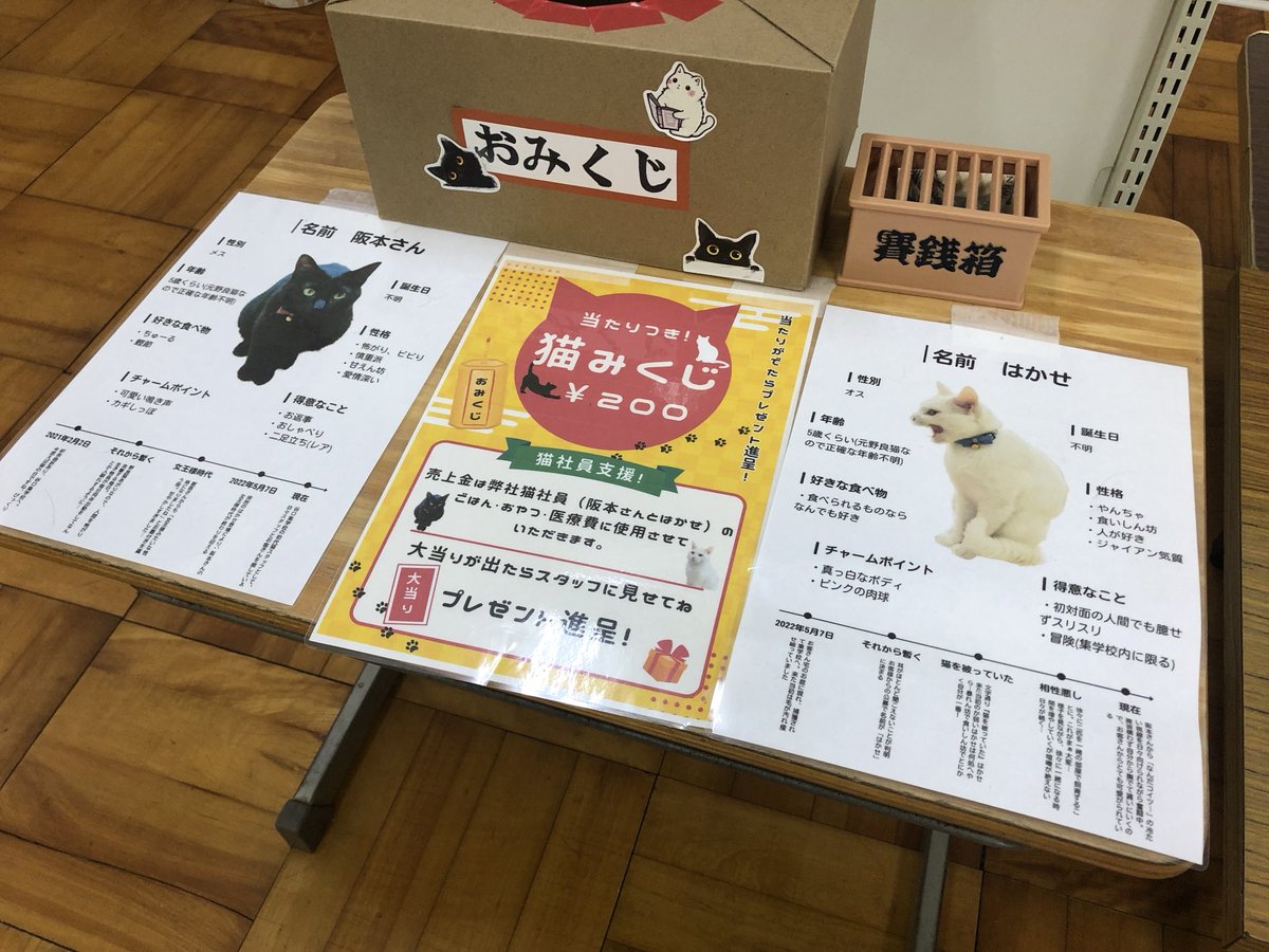t_soft_center's tweet image. 2匹の保護猫がいる谷口集学校に行ってきました。
ネコのことに関しては目ざといF川が猫みくじを見つけ、引いたのを見せてもらったら小吉。
「辛抱強く待つ」という言葉、心にしっかり留めてこれからも頑張ってほしい…、とおやっさんは思った。