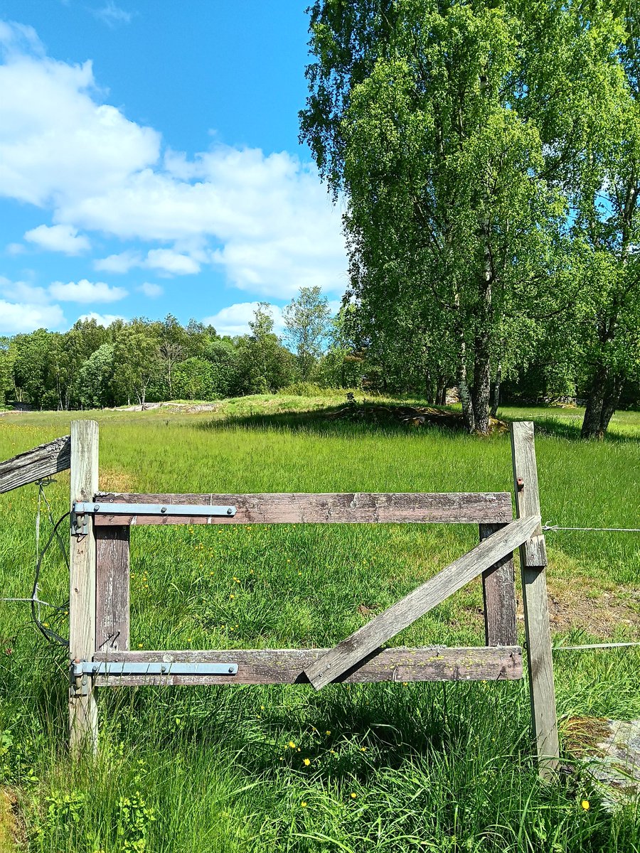 AnetteJonasson's tweet image. An old gate in beautiful nature, memories from past times🍃🩵🍃
#naturephotograpy
#thursgate