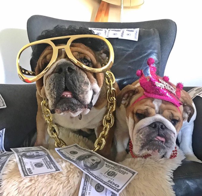 Roscoe | Fan Page tweet media