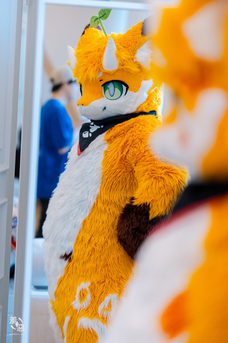 귤... 너무 많이 먹었으려나 🍊
みかん··· 食べ過ぎたかな 🍊

#ミカンドラ #Fursuit #FursuitEveryday