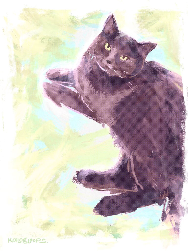 her name's miumiu !! 🐈‍⬛

#cats #artph