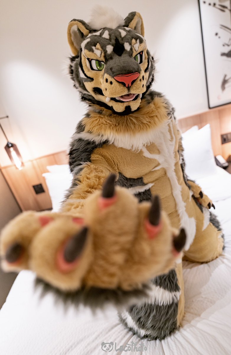 Tomorrow I will be in Taiwan to participate in the UTFG! Please give me a shout if you see him! Thanks! 🐾✨

#kigurumikagetsu