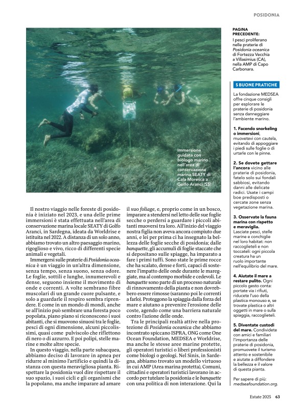schirragiraldi's tweet photo. the art SEA FOREST on National Geographic Traveler @NatGeo  – summer issue

POSIDONIA – Posidonia oceanica è una risorsa preziosa per la salute del mare. Perché è importante conoscerla, anche nuotando tra le sue praterie. https://t.co/RuSSOg7qH2