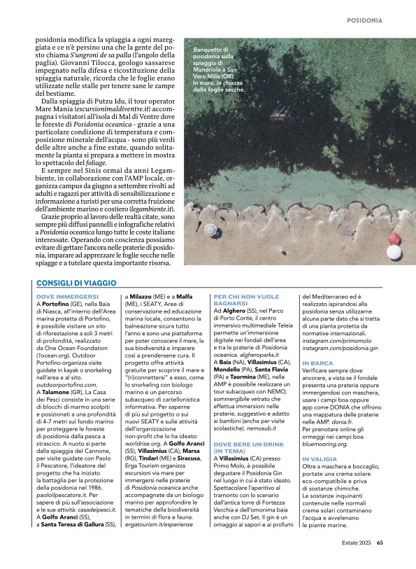schirragiraldi's tweet photo. the art SEA FOREST on National Geographic Traveler @NatGeo  – summer issue

POSIDONIA – Posidonia oceanica è una risorsa preziosa per la salute del mare. Perché è importante conoscerla, anche nuotando tra le sue praterie. https://t.co/RuSSOg7qH2