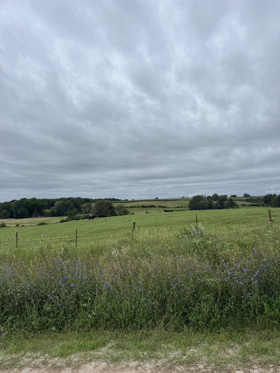 tgmiller46's tweet image. Cloudy and 60 feels nice after the last couple weeks of 90s