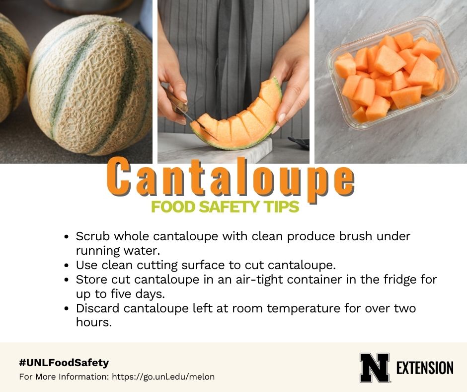 Cantaloupe &amp; other melons carry food safety risks. Grown on the ground, they can pick up pathogens. Once cut, low acidity helps germs grow. Handle safely to avoid illness. 🍈
More tips: go.unl.edu/melon
#UNLFoodSafety