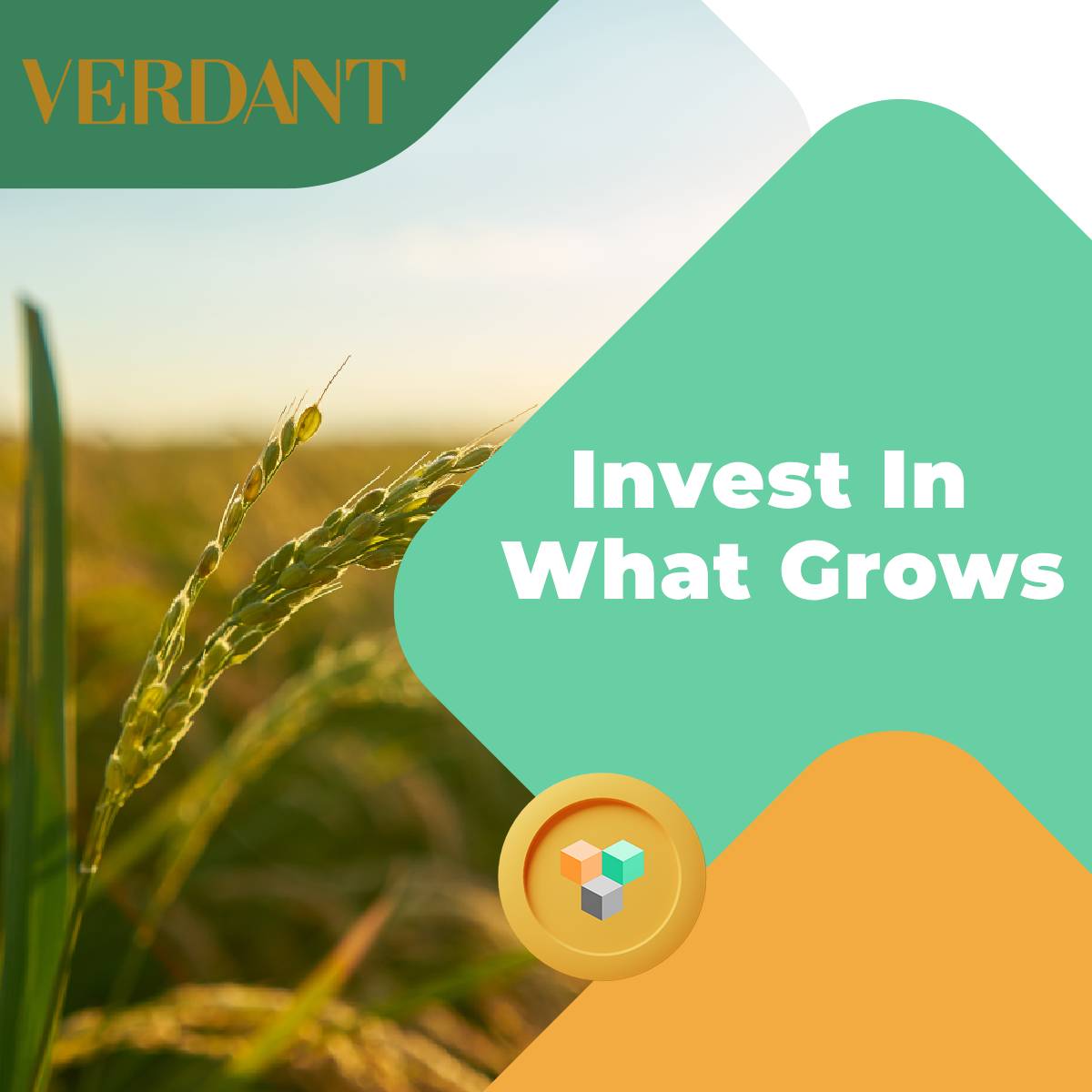 APF Digital Agrifund tweet media