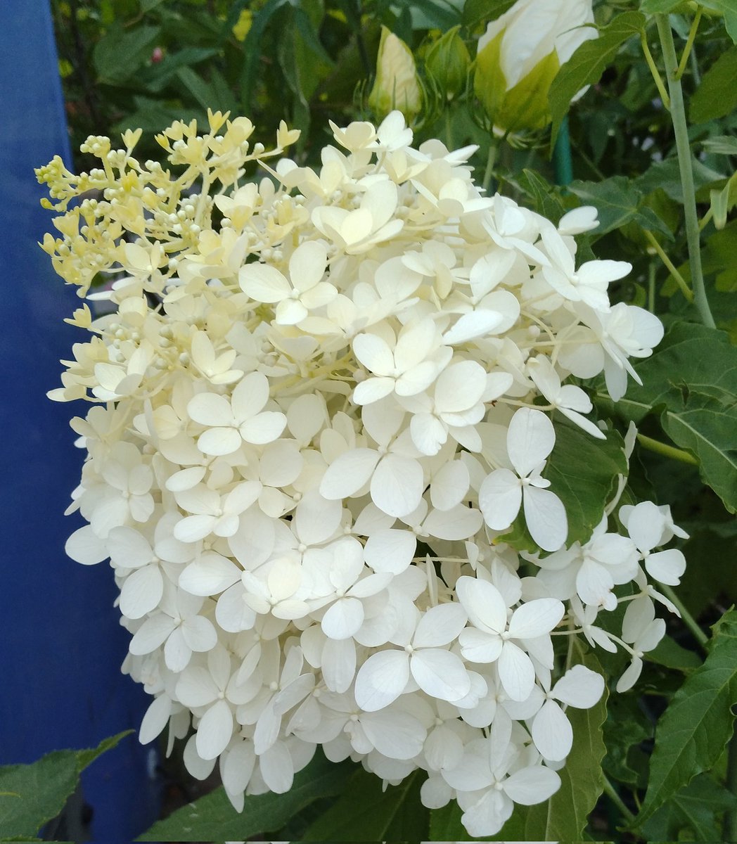 IElYjfZ1TM9WZJd's tweet image. #短歌 #tanka
『一日が
ゆっくりのんびり
過ぎて行き
幸せ時間
満喫しては』
退院して来て、健康で普通の生活が送れる有難みを感じています。