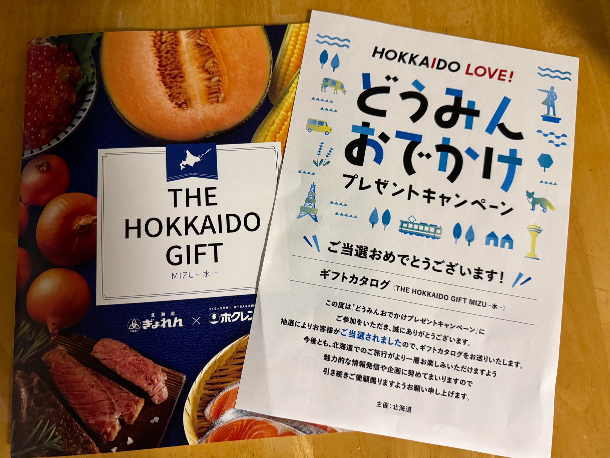 4冊 カタログギフトTHE HOKKAIDO GIFT MIZU ぎょれん ホクレン