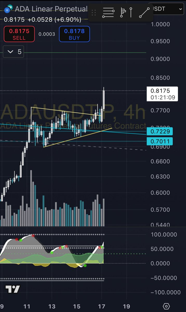The alts have not yet begun to pump HIGHER tbh