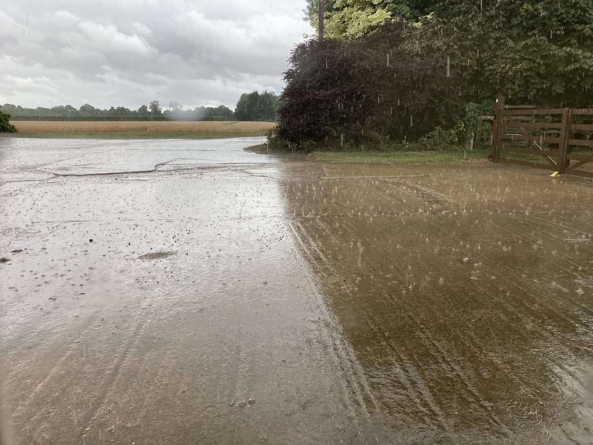 KateAgValuer's tweet image. QUICK!! Get the washing in!!
Not a phrase I’ve had to yell at the dogs very often this summer….