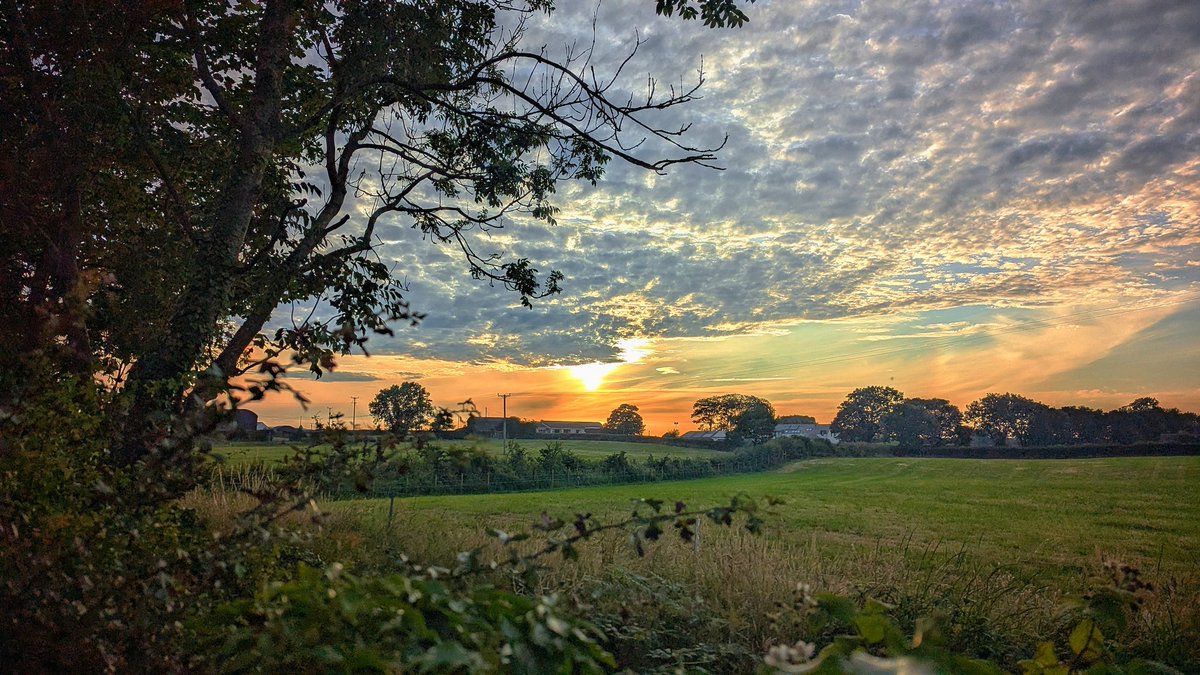 TheMadGeneral's tweet photo. What a lovely sunset over the hedge last night.
@WeatherAisling @Louise_utv
@bbcniweather @angie_weather @WeatherCee @danholley_ @lindahughesmet @ThePhotoHour @BelfastLive
@BBCWthrWatchers #donaghadee @EarthandClouds
#sunset #pixel6
#phoneshot
@madebygoogle
#madebygoogle https://t.co/i3NJn60jP3