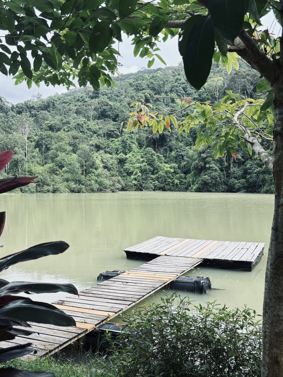⛰️🍃