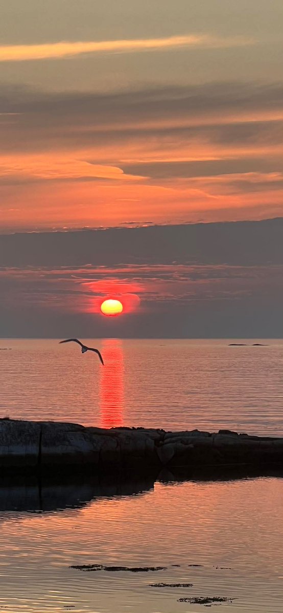 DWPippy's tweet image. Good morning!
Sunrise at Wesleyville Newfoundland on July 14th photographed by Marilyn Jacobs.