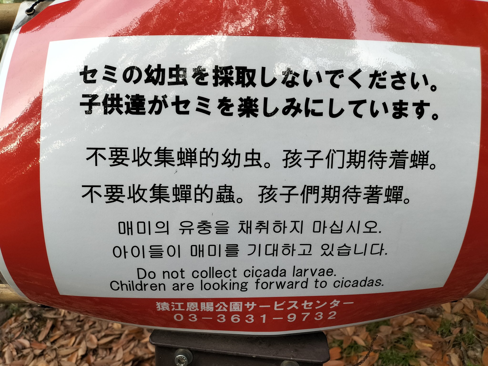 足立市場から徒歩5分 on X: 