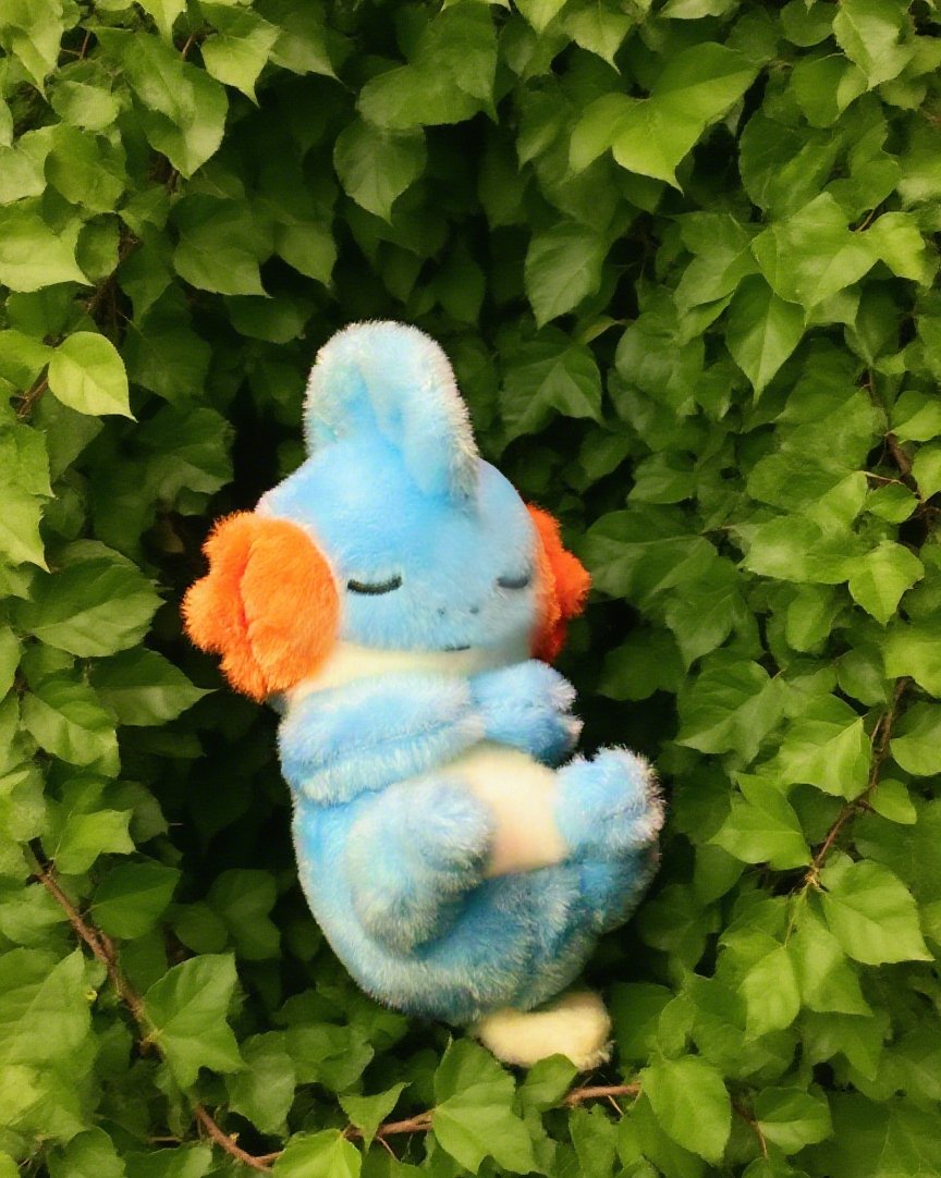 Idplayer2333's tweet image. 💧 Dreamy plush. Touchable reality.
🛒 puffo.net/product/mudkip…
#pokemon #pokémonMerch #plush #plushie #pokemongirl #pokemonplush #mudkip