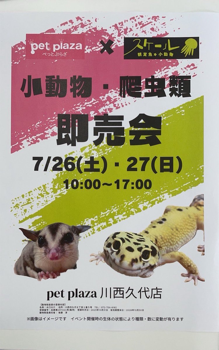 老体に鞭打って。
来る7月26日と27日の2日間、ホームセンターコーナン川西久代店内のペットプラザにて即売会を開催致します。
当店らしいオールジャンル？の生体を連れて行きます。買い物ついでに是非立ち寄ってください。
よろしくお願いします。
#ペットプラザ川西久代店