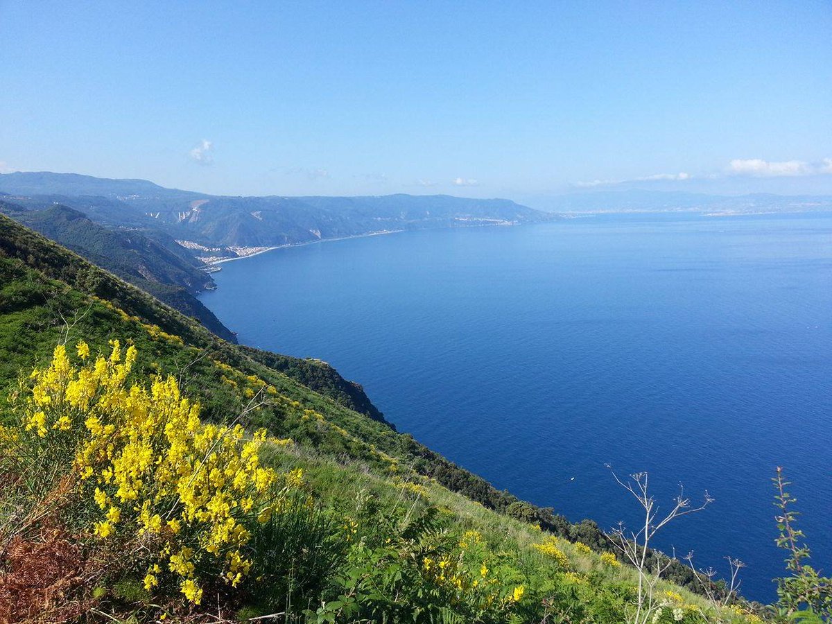 A proposito di paesaggi marittimi: La "costa viola", da Palmi a Scilla in provincia di Reggio Calabria 😍💙💚
#Calabria #landscapephotography #beauty 
foto Nuccio Buda
