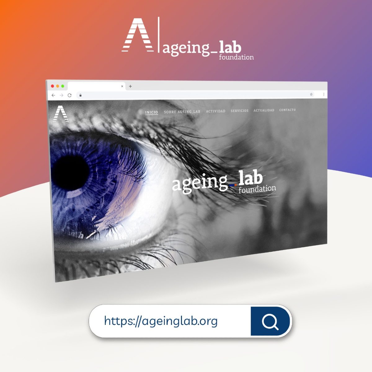 👨🏼‍⚕️​👩🏼‍⚕️​👨🏼‍🦳​👩🏼‍🦳​​📑​Visita nuestro sitio Web e infórmate de todos los proyectos, estudios, programas e investigaciones que realizamos en #AgeingLab.

👉🏼🌐ageinglab.org/full-width-mas…