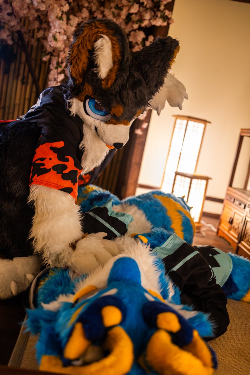 #FursuitEveryday 
🐍:<a href="/Furry_peng/">펭 PENG</a> 
📸<a href="/biche_fur/">비케/호밀이➡️FurstClass</a>