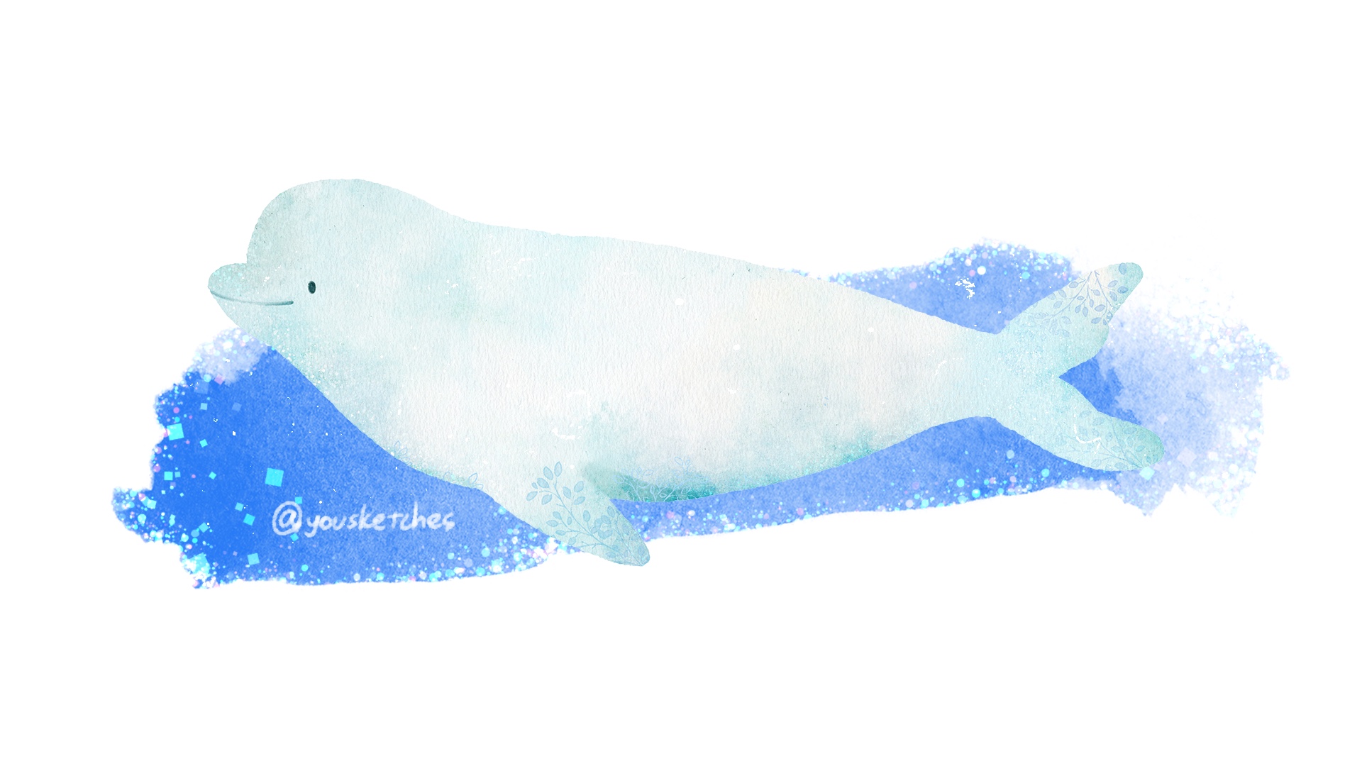 favorite collection beluga whale シロイルカ Beluga Whale - Collecta Figures: Animal Toys, Dinosaurs