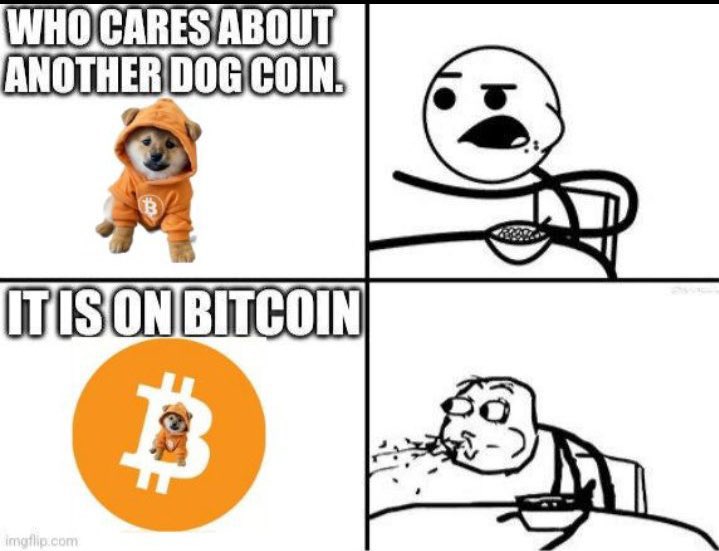 marchandboy's tweet image. $DOG is Bitcoin!