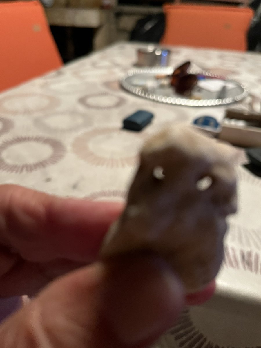 Bojchi1's tweet image. Ovo sam našla na plaži u Novalji. Da li postoji neko na X-u koji mi može objasniti, kako nastaju rupice cca 2 mm u ovakvom malom kamenu. Imam ih dosta s takvim rupicama