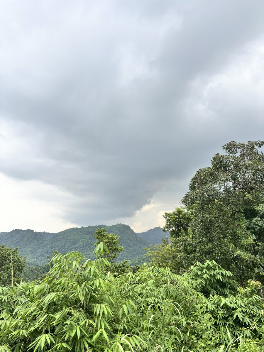 abhishekporaxar's tweet image. I travelled less than 10 kms from my home in the middle of the capital & reached this place in the middle of lush tropical jungles. That’s the beauty of Guwahati 😇