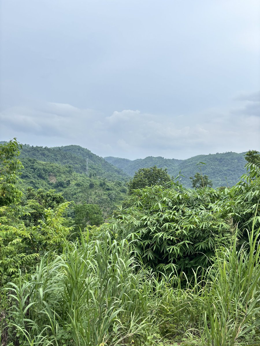abhishekporaxar's tweet image. I travelled less than 10 kms from my home in the middle of the capital & reached this place in the middle of lush tropical jungles. That’s the beauty of Guwahati 😇
