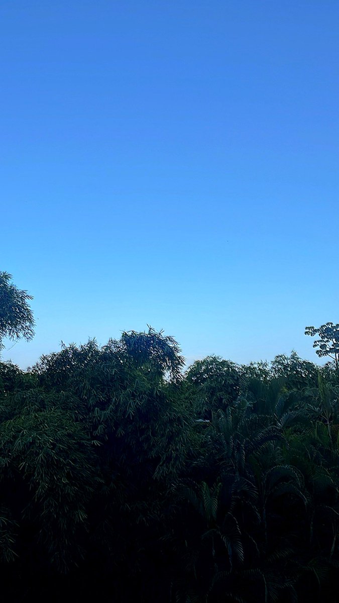 Jueves. Buen día. #DesdeElOasis